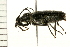  ( - 08BBCOL-0116)  @12 [ ] CreativeCommons - Attribution (2008) Unspecified Centre for Biodiversity Genomics
