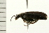  ( - 08BBCOL-0120)  @12 [ ] CreativeCommons - Attribution (2008) Unspecified Centre for Biodiversity Genomics