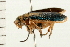 ( - 08BBCOL-0149)  @13 [ ] CreativeCommons - Attribution (2008) Unspecified Centre for Biodiversity Genomics