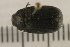  ( - 08BBCOL-0040)  @13 [ ] CreativeCommons - Attribution (2008) Unspecified Centre for Biodiversity Genomics