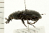  ( - 08BBCOL-0164)  @14 [ ] CreativeCommons - Attribution (2008) Unspecified Centre for Biodiversity Genomics