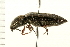  ( - 08BBCOL-0183)  @13 [ ] CreativeCommons - Attribution (2008) Unspecified Centre for Biodiversity Genomics