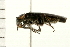  ( - 08BBCOL-0189)  @13 [ ] CreativeCommons - Attribution (2008) Unspecified Centre for Biodiversity Genomics