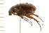  ( - 08BBCOL-0220)  @13 [ ] CreativeCommons - Attribution (2008) Unspecified Centre for Biodiversity Genomics