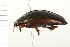  ( - 08BBCOL-0242)  @12 [ ] CreativeCommons - Attribution (2008) Unspecified Centre for Biodiversity Genomics
