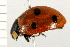  ( - 08BBCOL-0280)  @13 [ ] CreativeCommons - Attribution (2008) Unspecified Centre for Biodiversity Genomics