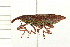  ( - 08BBCOL-0289)  @14 [ ] CreativeCommons - Attribution (2008) Unspecified Centre for Biodiversity Genomics
