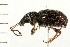  ( - 08BBCOL-0291)  @13 [ ] CreativeCommons - Attribution (2008) Unspecified Centre for Biodiversity Genomics