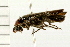  ( - 08BBCOL-0297)  @12 [ ] CreativeCommons - Attribution (2008) Unspecified Centre for Biodiversity Genomics
