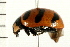  ( - 08BBCOL-0306)  @12 [ ] CreativeCommons - Attribution (2008) Unspecified Centre for Biodiversity Genomics