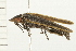  ( - 08BBCOL-0317)  @12 [ ] CreativeCommons - Attribution (2008) Unspecified Centre for Biodiversity Genomics