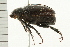  ( - 08BBCOL-0323)  @12 [ ] CreativeCommons - Attribution (2008) Unspecified Centre for Biodiversity Genomics