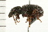  ( - 08BBCOL-0326)  @13 [ ] CreativeCommons - Attribution (2008) Unspecified Centre for Biodiversity Genomics