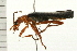  ( - 08BBCOL-0344)  @13 [ ] CreativeCommons - Attribution (2008) Unspecified Centre for Biodiversity Genomics