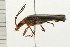  ( - 08BBCOL-0346)  @13 [ ] CreativeCommons - Attribution (2008) Unspecified Centre for Biodiversity Genomics