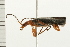  ( - 08BBCOL-0349)  @13 [ ] CreativeCommons - Attribution (2008) Unspecified Centre for Biodiversity Genomics