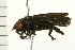  ( - 08BBCOL-0379)  @13 [ ] CreativeCommons - Attribution (2008) Unspecified Centre for Biodiversity Genomics