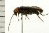  ( - 08BBCOL-0444)  @13 [ ] CreativeCommons - Attribution (2008) Unspecified Centre for Biodiversity Genomics
