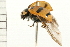  ( - 08BBCOL-0450)  @13 [ ] CreativeCommons - Attribution (2008) Unspecified Centre for Biodiversity Genomics