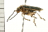  ( - 08BBCOL-0456)  @14 [ ] CreativeCommons - Attribution (2008) Unspecified Centre for Biodiversity Genomics