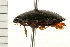  ( - 08BBCOL-0514)  @14 [ ] CreativeCommons - Attribution (2008) Unspecified Centre for Biodiversity Genomics