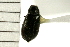  ( - 08BBCOL-0540)  @13 [ ] CreativeCommons - Attribution (2008) Unspecified Centre for Biodiversity Genomics