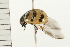  ( - 08BBCOL-0549)  @13 [ ] CreativeCommons - Attribution (2008) Unspecified Centre for Biodiversity Genomics