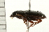  ( - 08BBCOL-0567)  @12 [ ] CreativeCommons - Attribution (2008) Unspecified Centre for Biodiversity Genomics