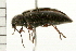  ( - 08BBCOL-0578)  @13 [ ] CreativeCommons - Attribution (2008) Unspecified Centre for Biodiversity Genomics