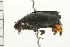  ( - 08BBCOL-0592)  @12 [ ] CreativeCommons - Attribution (2008) Unspecified Centre for Biodiversity Genomics