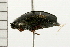  ( - 08BBCOL-0593)  @12 [ ] CreativeCommons - Attribution (2008) Unspecified Centre for Biodiversity Genomics