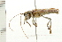  ( - 08BBCOL-0600)  @13 [ ] CreativeCommons - Attribution (2008) Unspecified Centre for Biodiversity Genomics