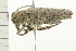  ( - 08BBCOL-0601)  @13 [ ] CreativeCommons - Attribution (2008) Unspecified Centre for Biodiversity Genomics