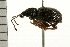  ( - 08MZPP-028)  @13 [ ] CreativeCommons - Attribution (2008) Unspecified Centre for Biodiversity Genomics