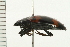  ( - 08MZPP-071)  @12 [ ] CreativeCommons - Attribution (2008) Unspecified Centre for Biodiversity Genomics