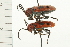 ( - 08MZPP-075)  @13 [ ] CreativeCommons - Attribution (2008) Unspecified Centre for Biodiversity Genomics