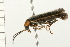  ( - 08MZPP-107)  @13 [ ] CreativeCommons - Attribution (2008) Unspecified Centre for Biodiversity Genomics