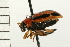  ( - 08MZPP-112)  @13 [ ] CreativeCommons - Attribution (2008) Unspecified Centre for Biodiversity Genomics