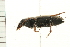  ( - 08SOCOL-0136)  @12 [ ] CreativeCommons - Attribution (2008) Unspecified Centre for Biodiversity Genomics