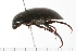  ( - 08MZPP-168)  @12 [ ] CreativeCommons - Attribution (2008) Unspecified Centre for Biodiversity Genomics