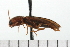  ( - COLP 0068.02)  @12 [ ] CreativeCommons - Attribution (2008) Unspecified Centre for Biodiversity Genomics