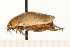  ( - HLC-17806)  @13 [ ] CreativeCommons - Attribution (2009) Unspecified Centre for Biodiversity Genomics