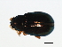  ( - 08BBCOL-0626)  @12 [ ] CreativeCommons - Attribution (2009) Unspecified Centre for Biodiversity Genomics