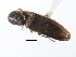  ( - 08SOCOL-0182)  @12 [ ] CreativeCommons - Attribution (2008) Unspecified Centre for Biodiversity Genomics