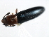 ( - 08SOCOL-0201)  @12 [ ] CreativeCommons - Attribution (2008) Unspecified Centre for Biodiversity Genomics