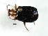  ( - 08SOCOL-0325)  @13 [ ] CreativeCommons - Attribution (2010) Unspecified Centre for Biodiversity Genomics