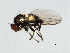  ( - 08BBDIP-0583)  @12 [ ] CreativeCommons - Attribution (2009) Unspecified Centre for Biodiversity Genomics