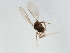  ( - 08BBDIP-0591)  @12 [ ] CreativeCommons - Attribution (2009) Unspecified Centre for Biodiversity Genomics