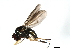  ( - 08BBDIP-0600)  @12 [ ] CreativeCommons - Attribution (2009) Unspecified Centre for Biodiversity Genomics