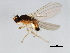  ( - 08BBDIP-0623)  @13 [ ] CreativeCommons - Attribution (2009) Unspecified Centre for Biodiversity Genomics